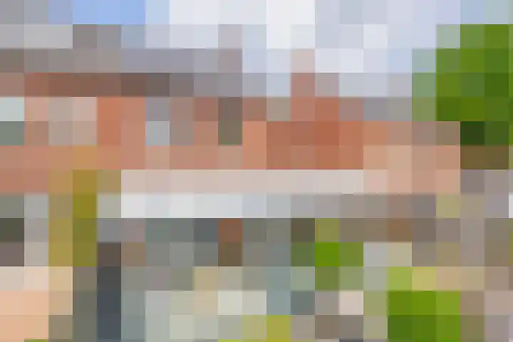 Hamelijnckhof 5 Beek en Donk thumbnail 39