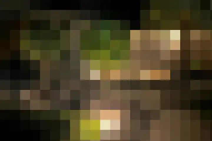 Hamelijnckhof 5 Beek en Donk thumbnail 40