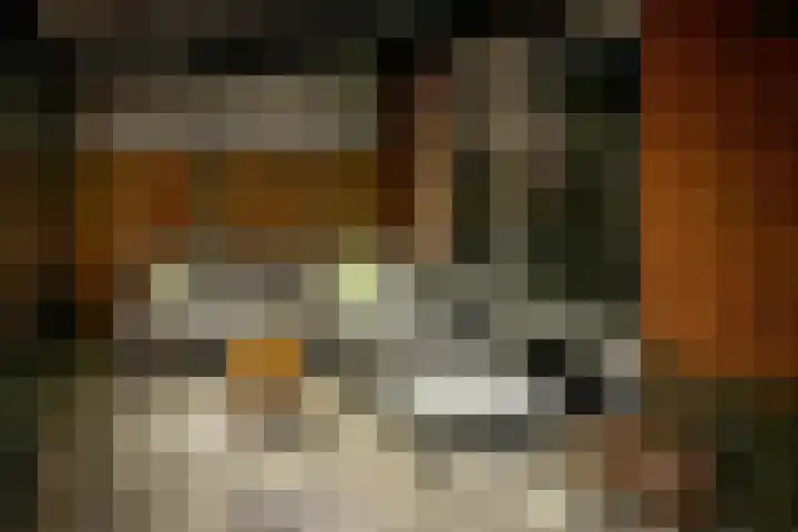 Hamelijnckhof 5 Beek en Donk thumbnail 43