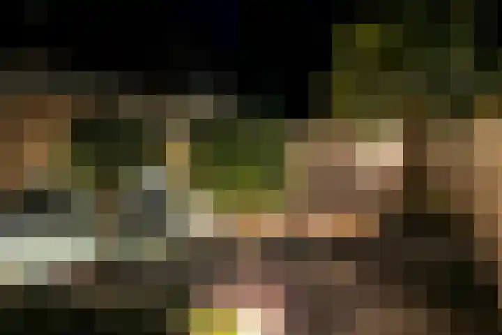 Hamelijnckhof 5 Beek en Donk thumbnail 45