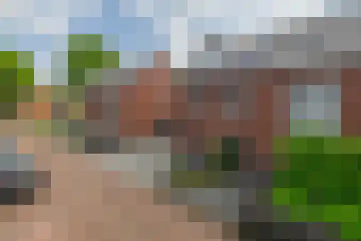 Hamelijnckhof 5 Beek en Donk thumbnail 5