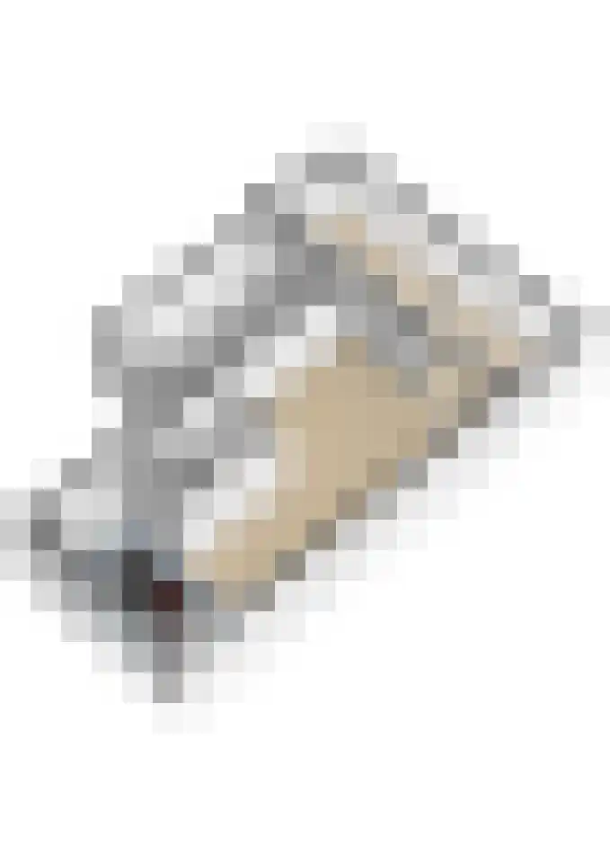 Hamelijnckhof 5 Beek en Donk thumbnail 52