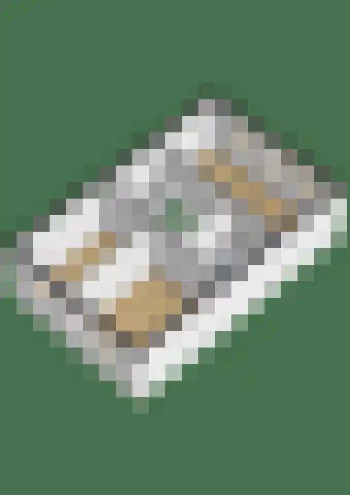 Hamelijnckhof 5 Beek en Donk thumbnail 54