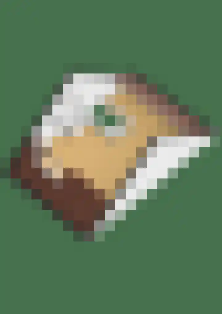 Hamelijnckhof 5 Beek en Donk thumbnail 56