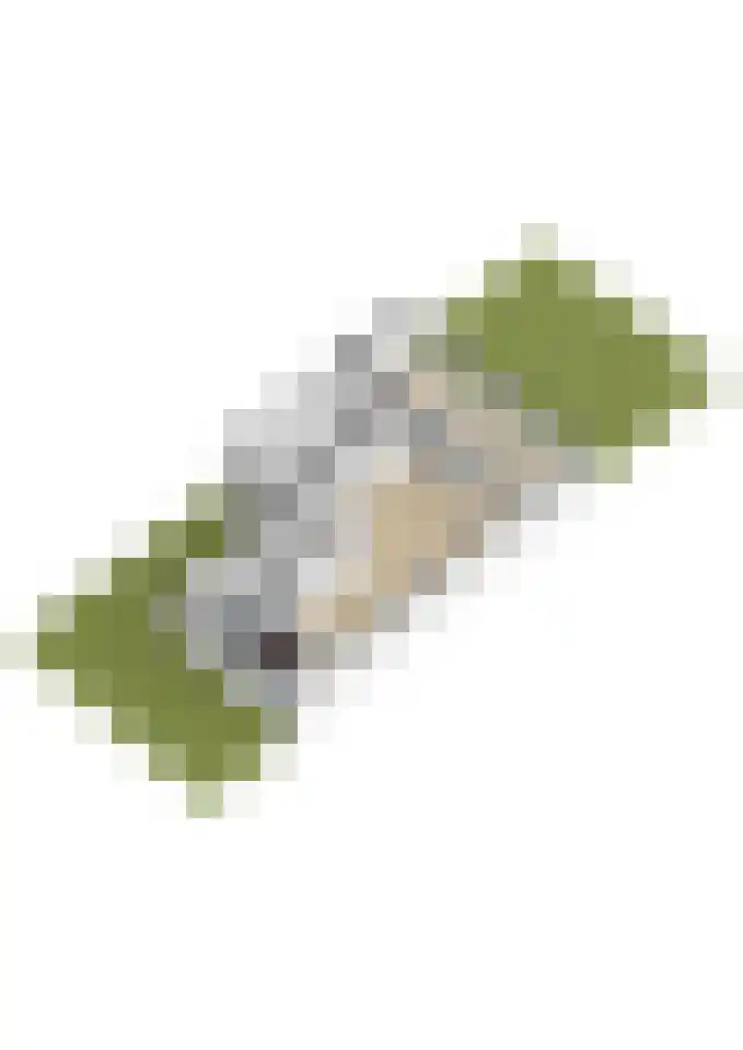 Hamelijnckhof 5 Beek en Donk thumbnail 58