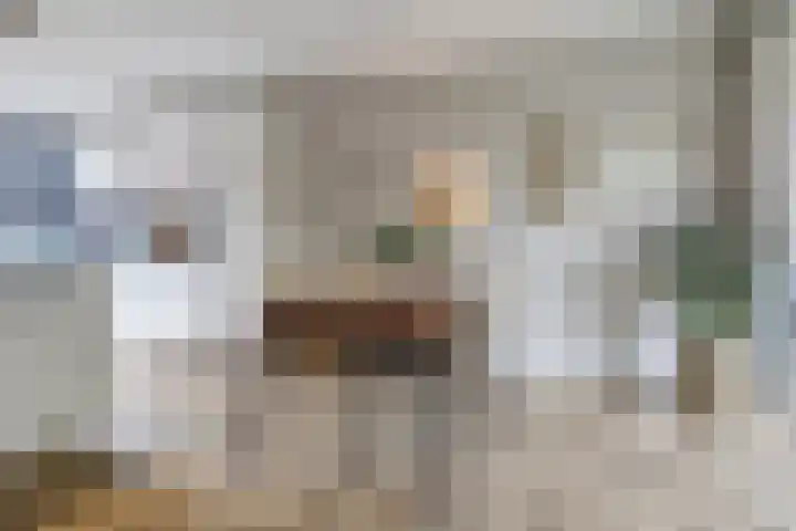 Hamelstraat 8 Venlo thumbnail 10