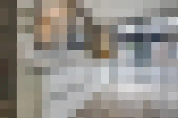 Hamelstraat 8 Venlo thumbnail 12