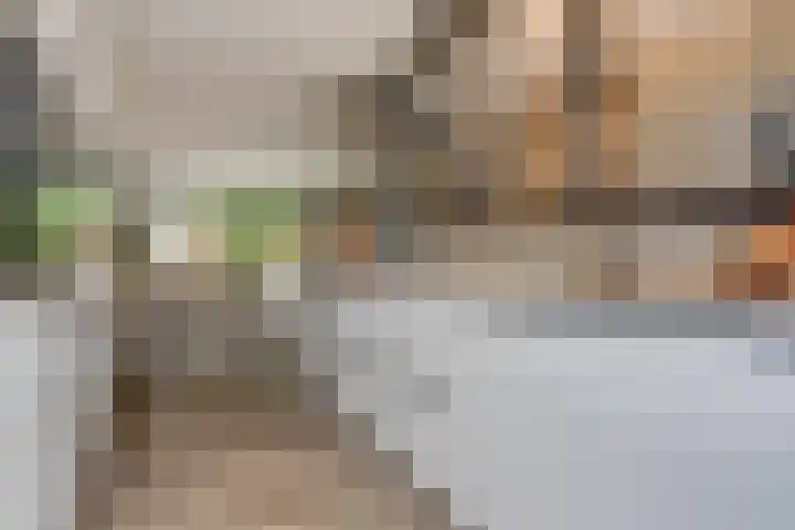 Hamelstraat 8 Venlo thumbnail 15