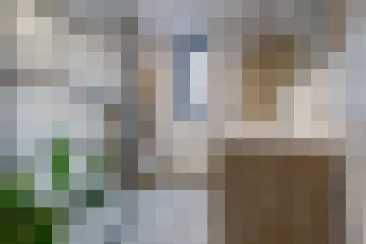 Hamelstraat 8 Venlo thumbnail 21