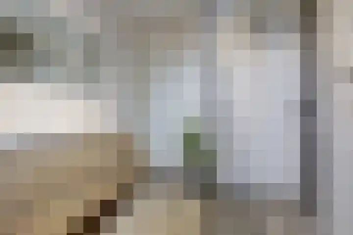 Hamelstraat 8 Venlo thumbnail 22