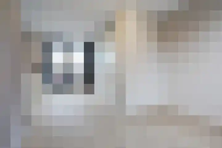 Hamelstraat 8 Venlo thumbnail 24