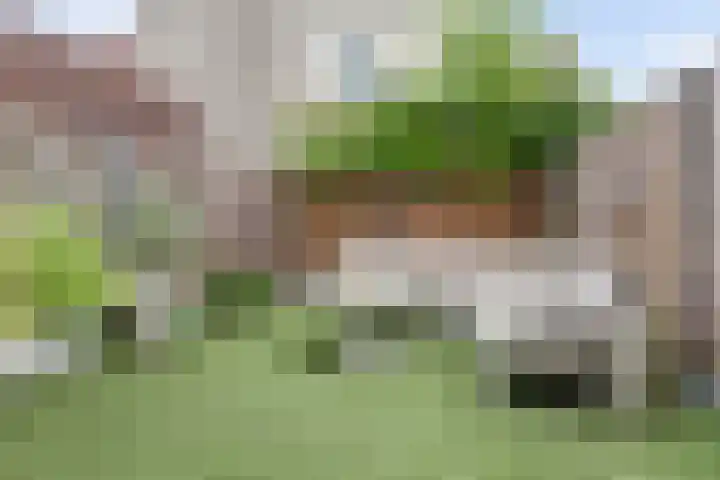 Hamelstraat 8 Venlo thumbnail 28