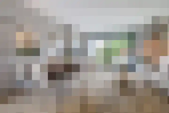 Hamelstraat 8 Venlo thumbnail 4