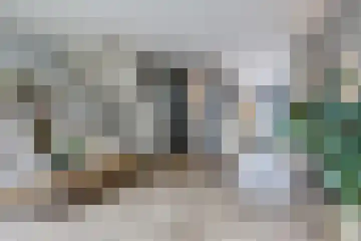 Hamelstraat 8 Venlo thumbnail 8