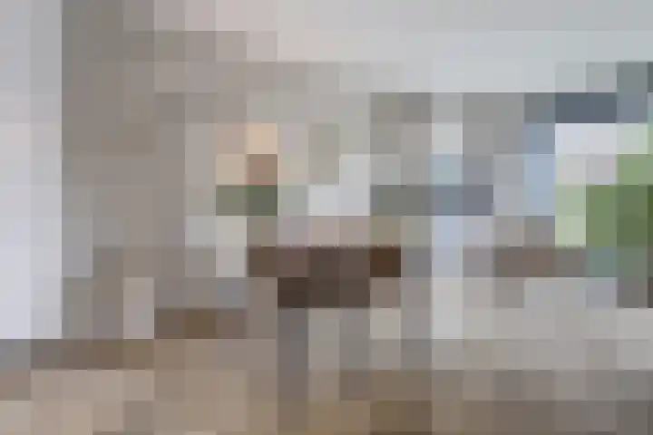 Hamelstraat 8 Venlo thumbnail 9