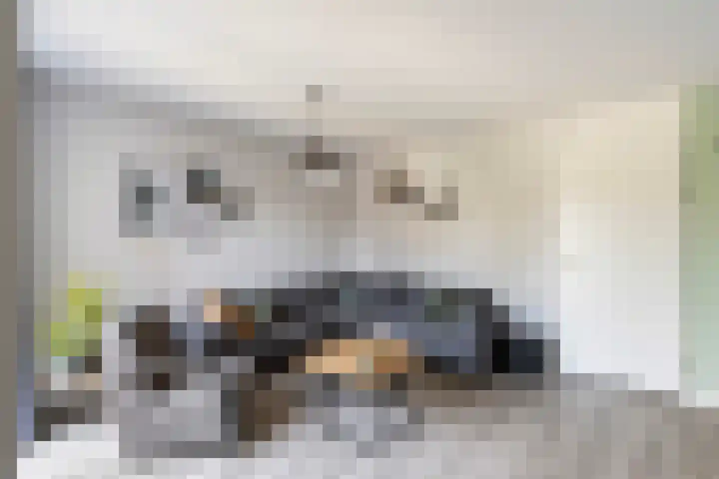 Hamerbijl 12 Dalfsen thumbnail 10