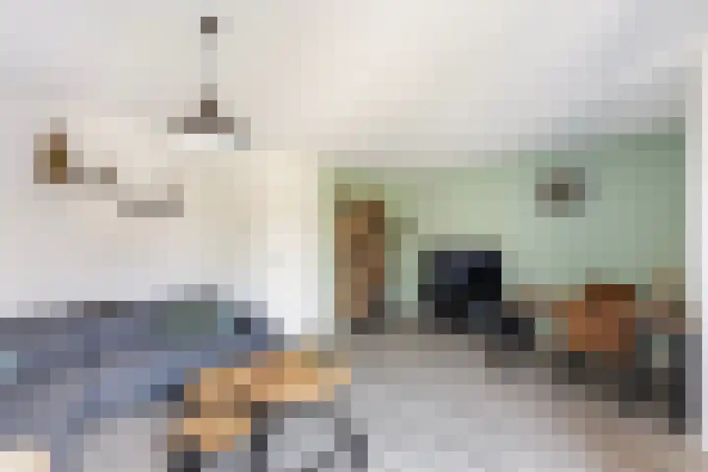 Hamerbijl 12 Dalfsen thumbnail 11