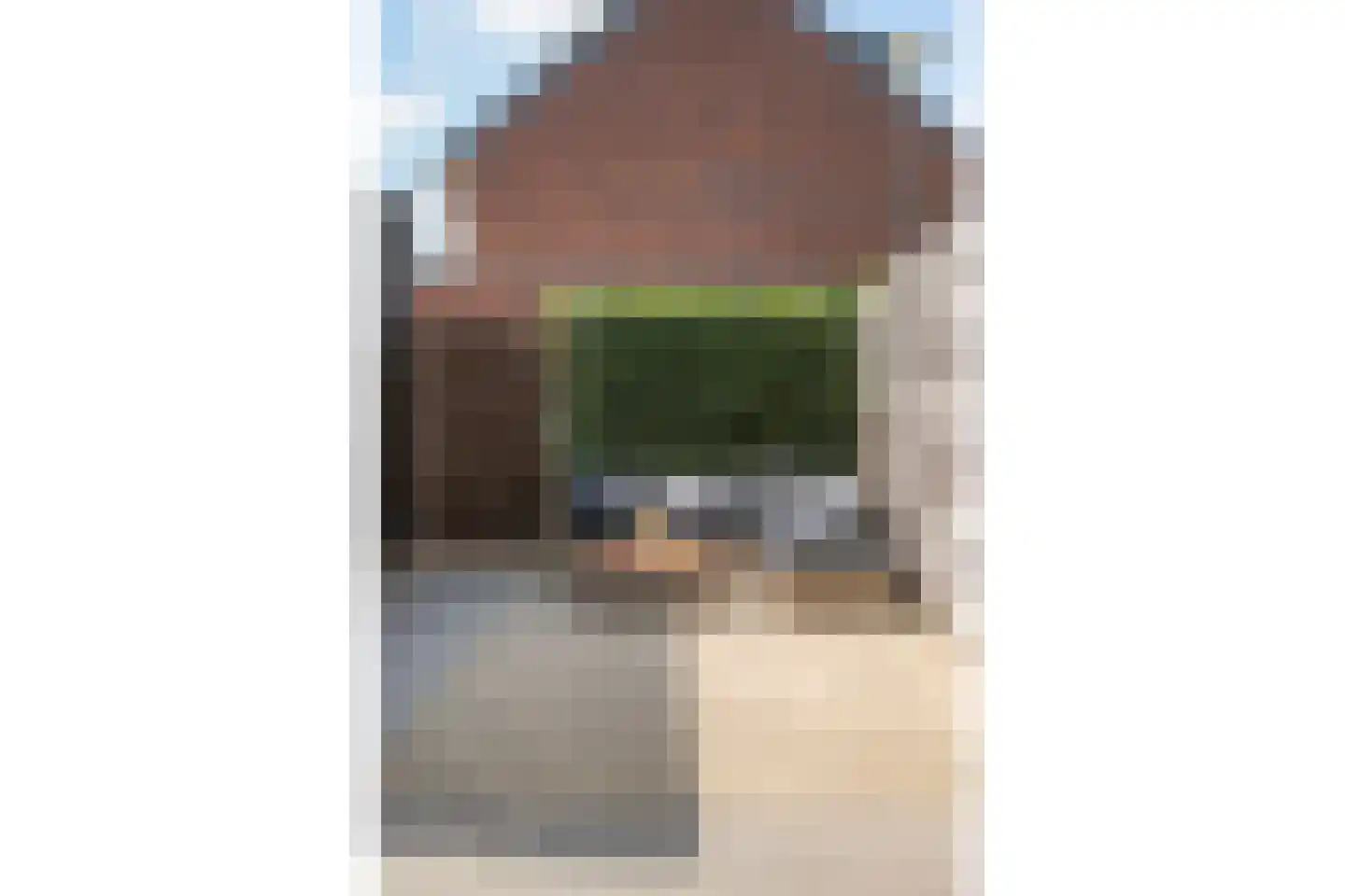 Hamerbijl 12 Dalfsen thumbnail 14