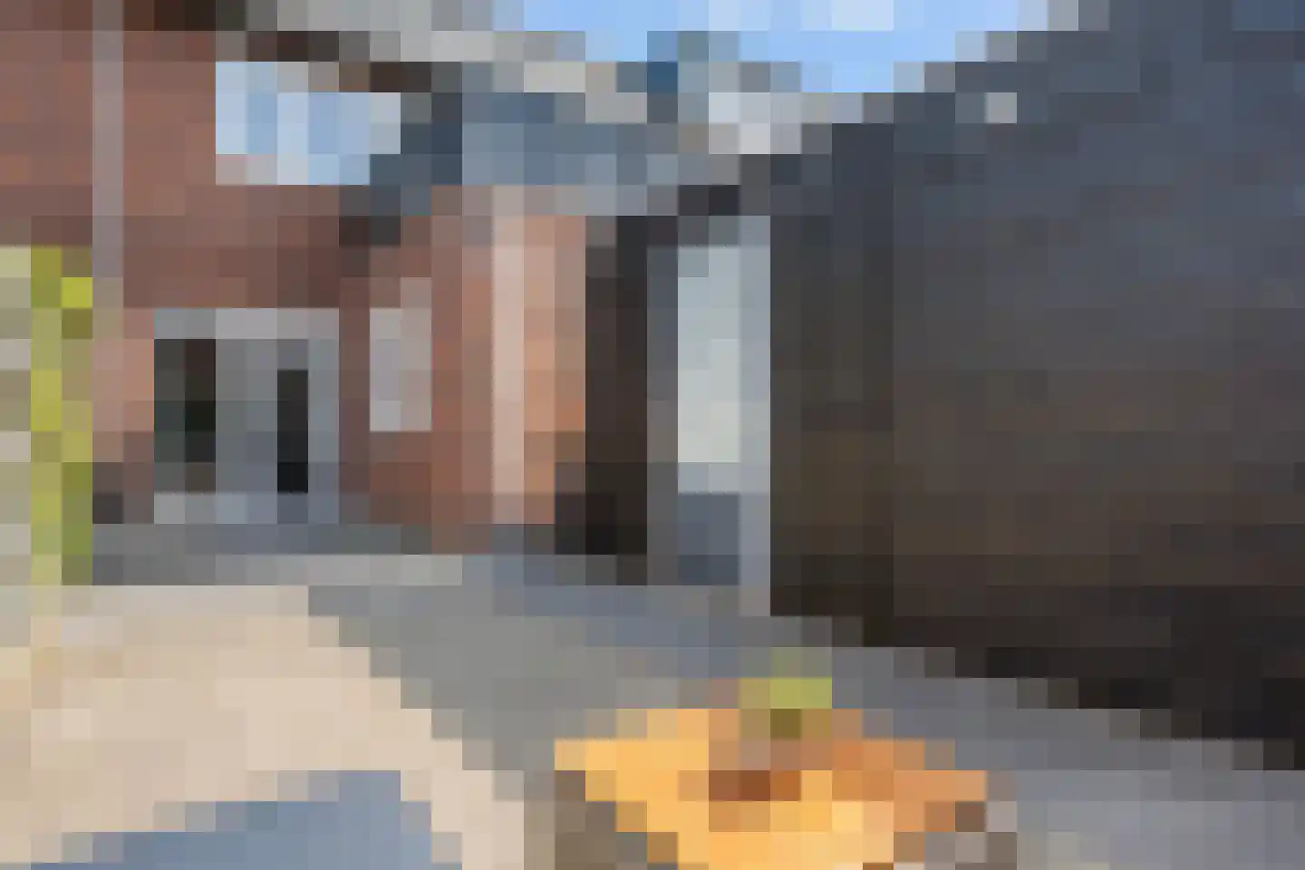 Hamerbijl 12 Dalfsen thumbnail 15