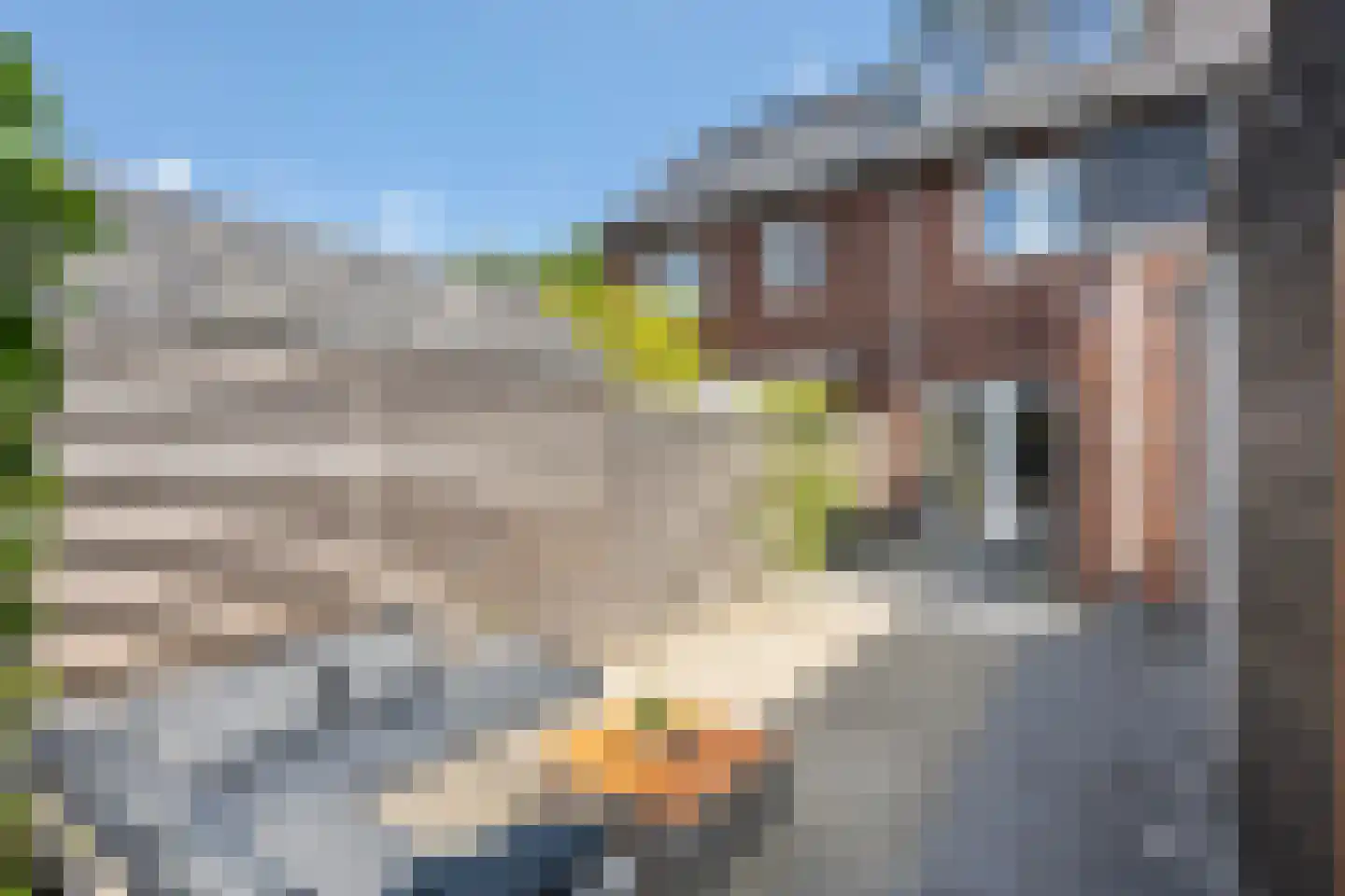 Hamerbijl 12 Dalfsen thumbnail 16
