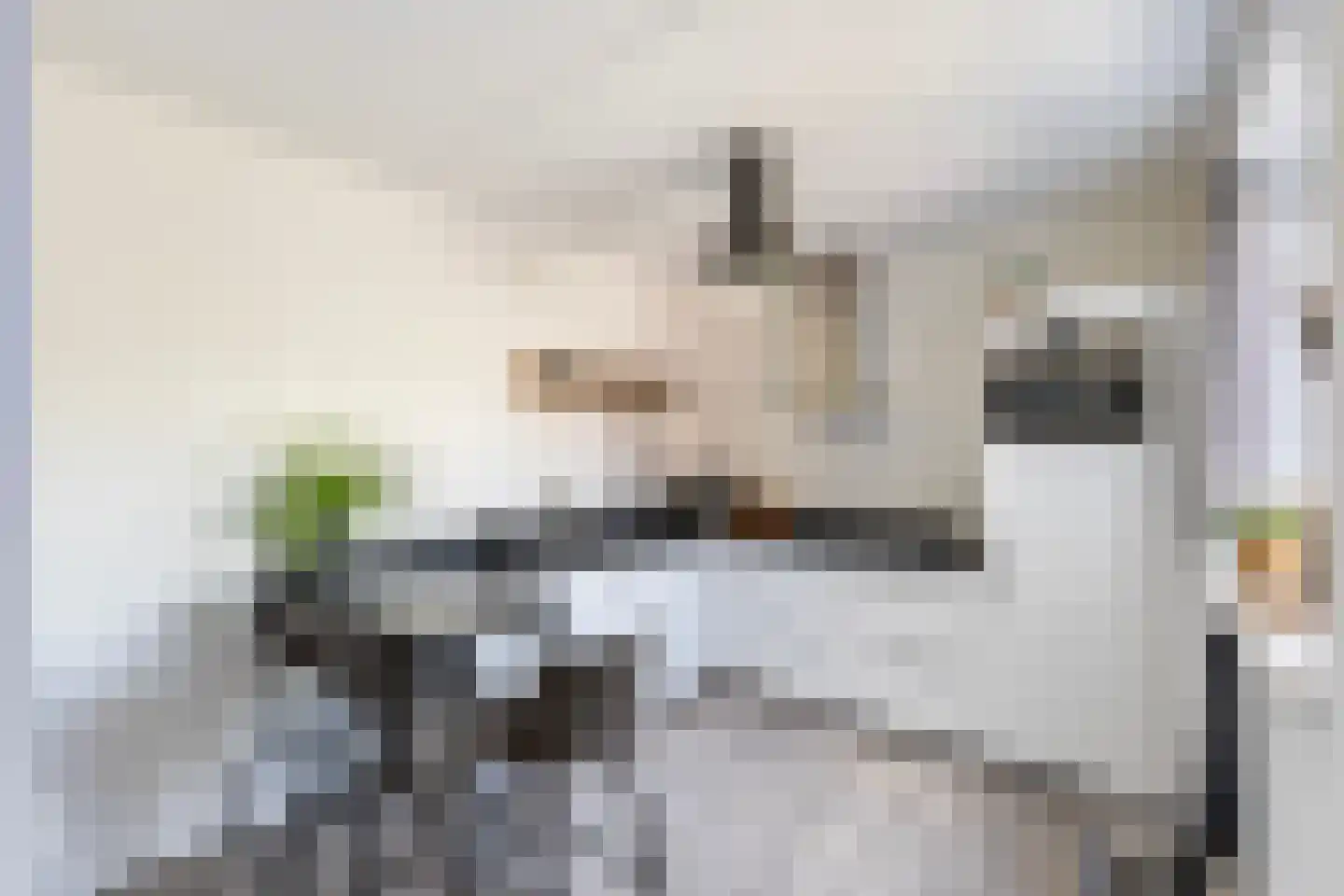 Hamerbijl 12 Dalfsen thumbnail 17