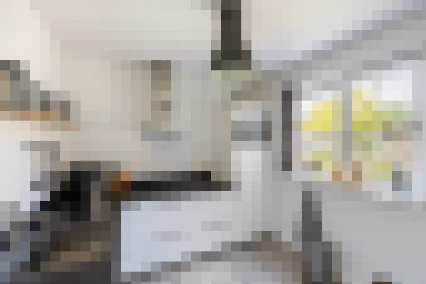 Hamerbijl 12 Dalfsen thumbnail 18