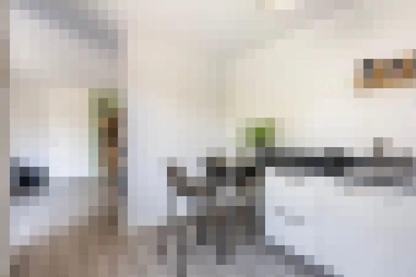 Hamerbijl 12 Dalfsen thumbnail 19