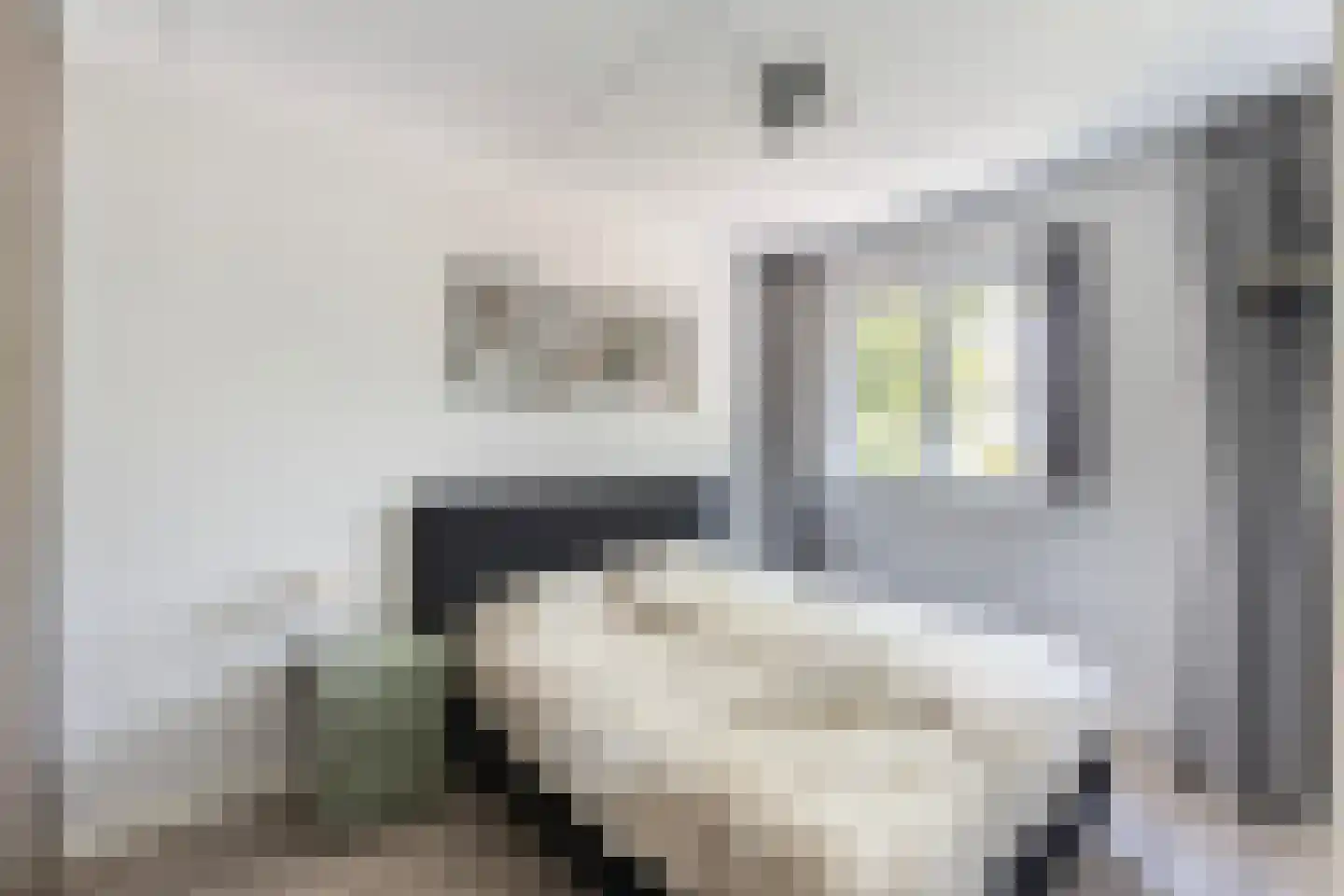 Hamerbijl 12 Dalfsen thumbnail 20