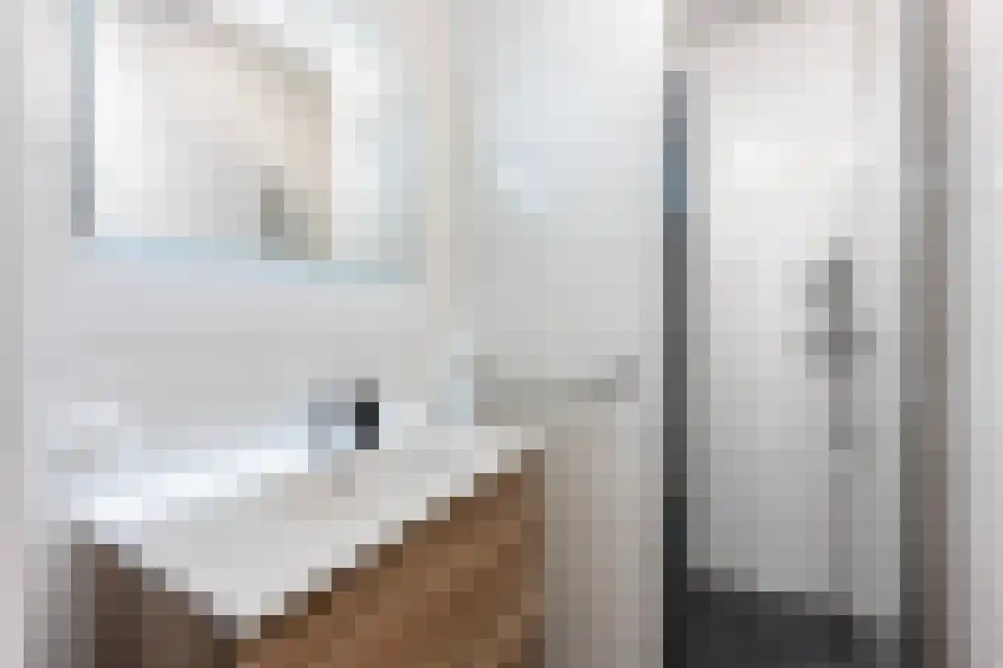 Hamerbijl 12 Dalfsen thumbnail 22