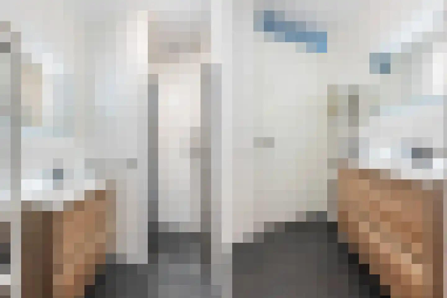 Hamerbijl 12 Dalfsen thumbnail 23