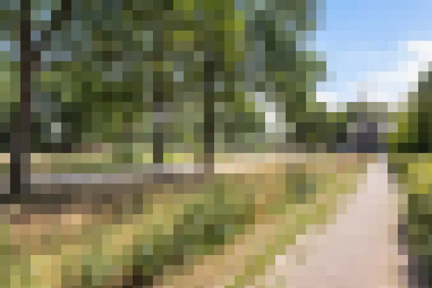 Hamerbijl 12 Dalfsen thumbnail 24