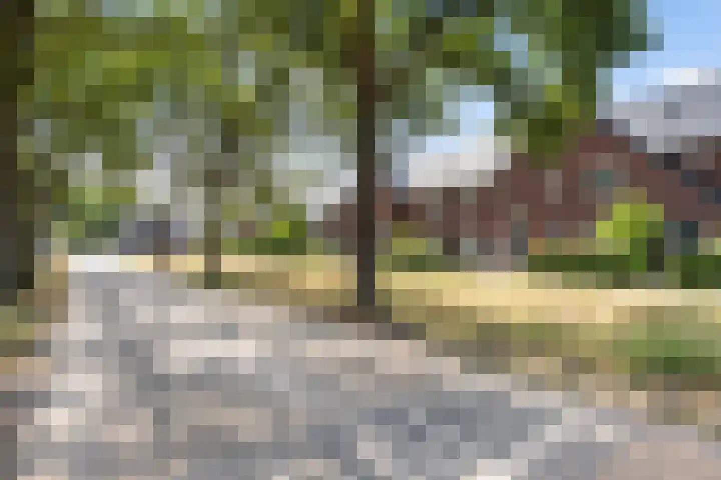 Hamerbijl 12 Dalfsen thumbnail 25