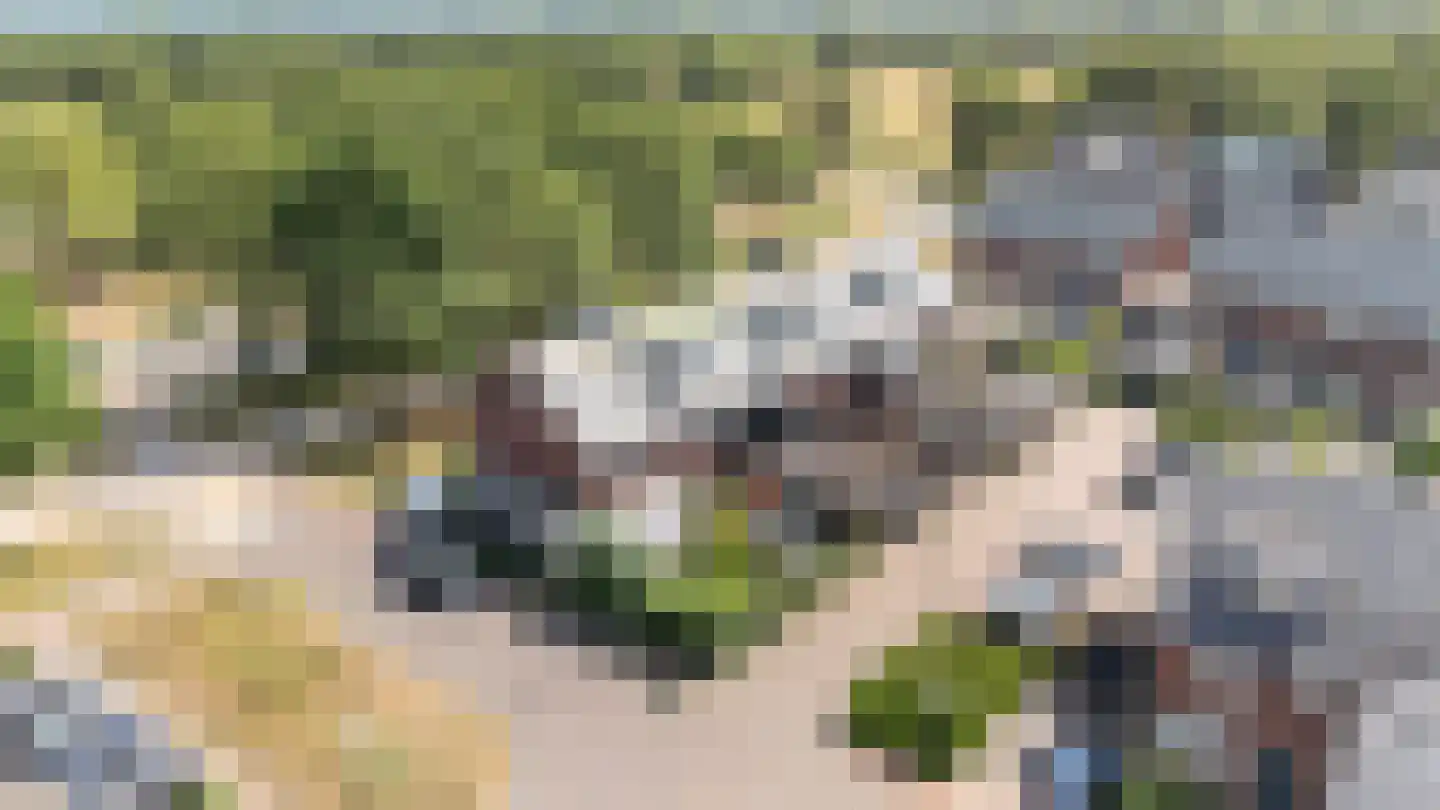 Hamerbijl 12 Dalfsen thumbnail 27