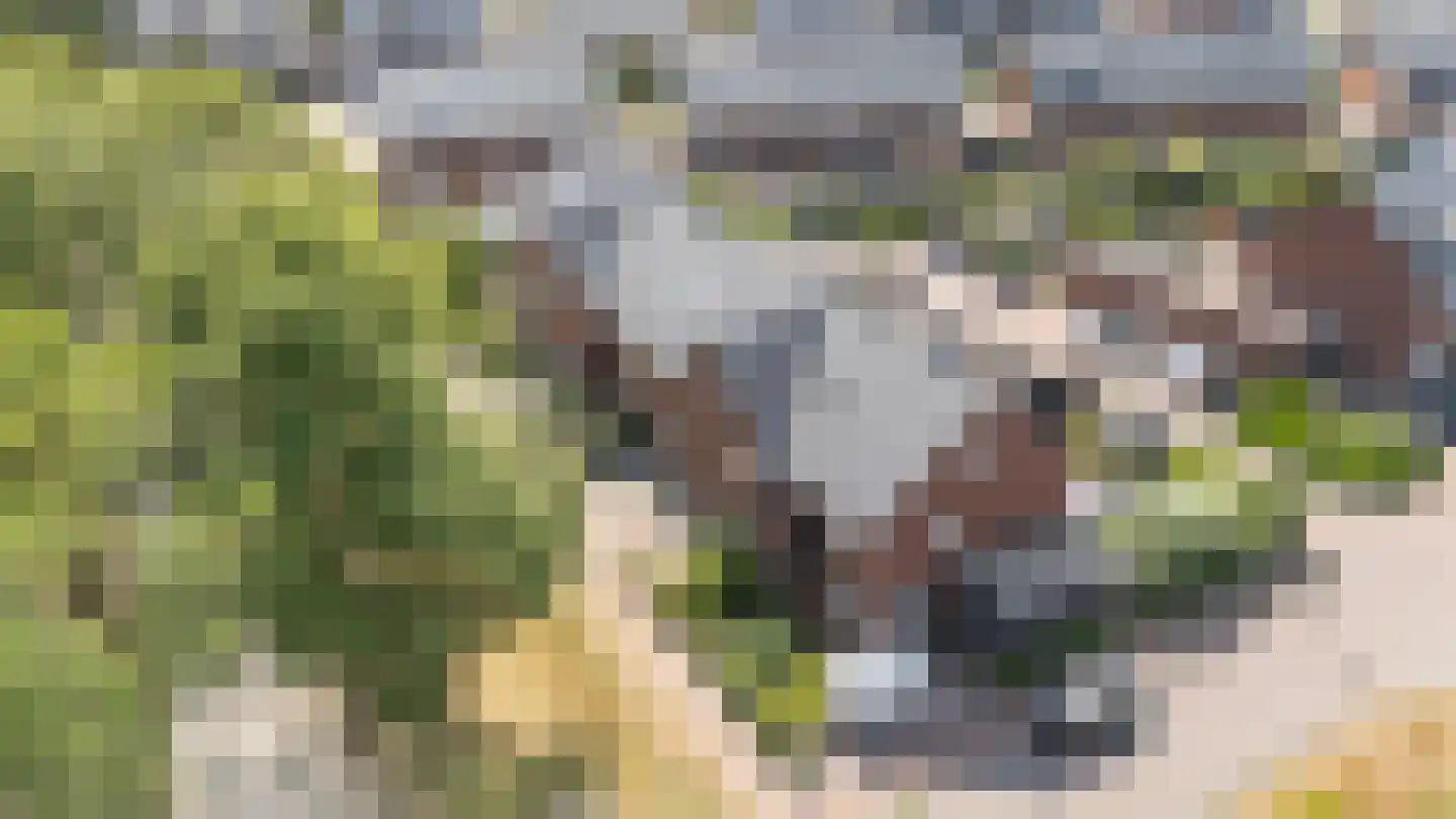 Hamerbijl 12 Dalfsen thumbnail 28