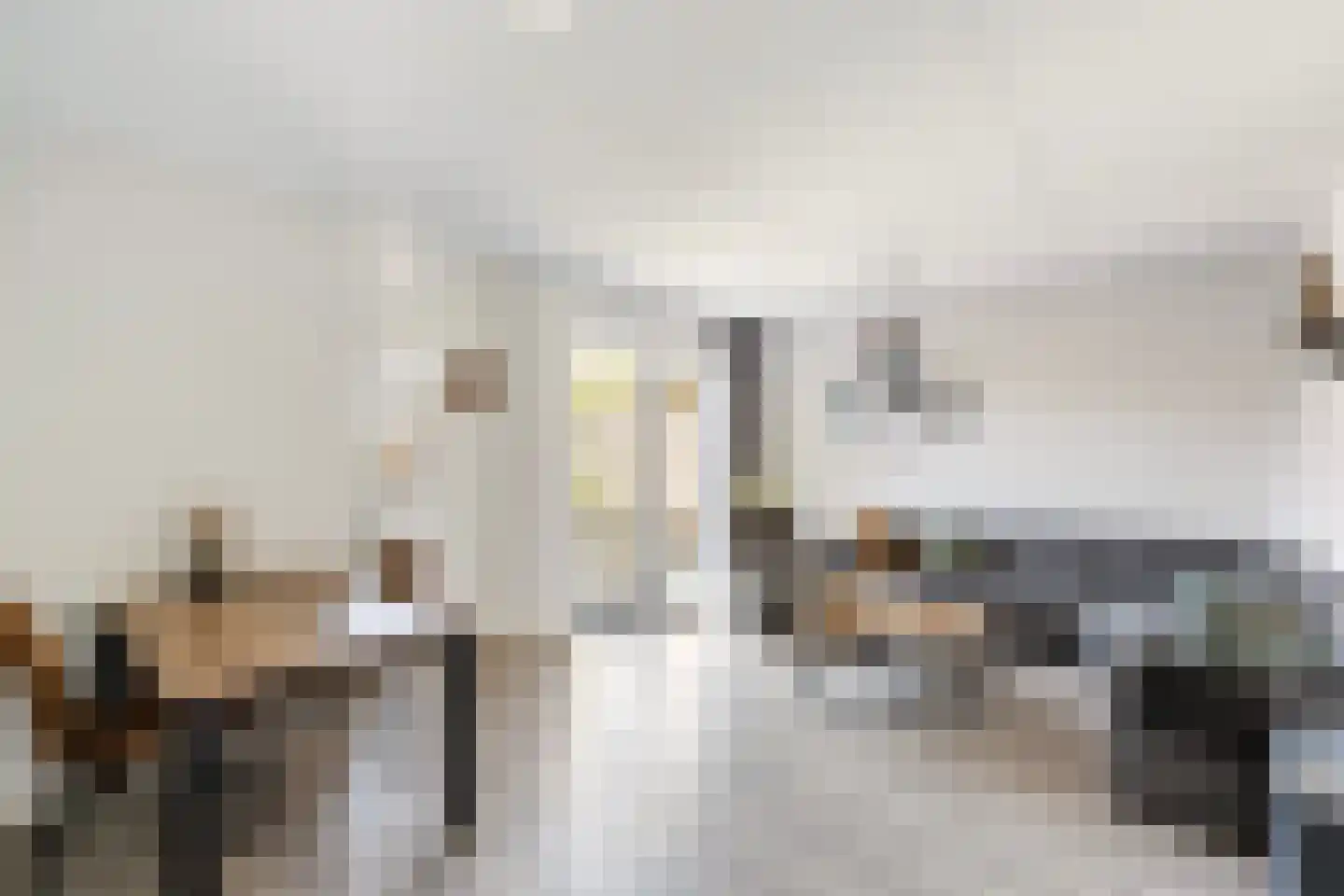 Hamerbijl 12 Dalfsen thumbnail 4