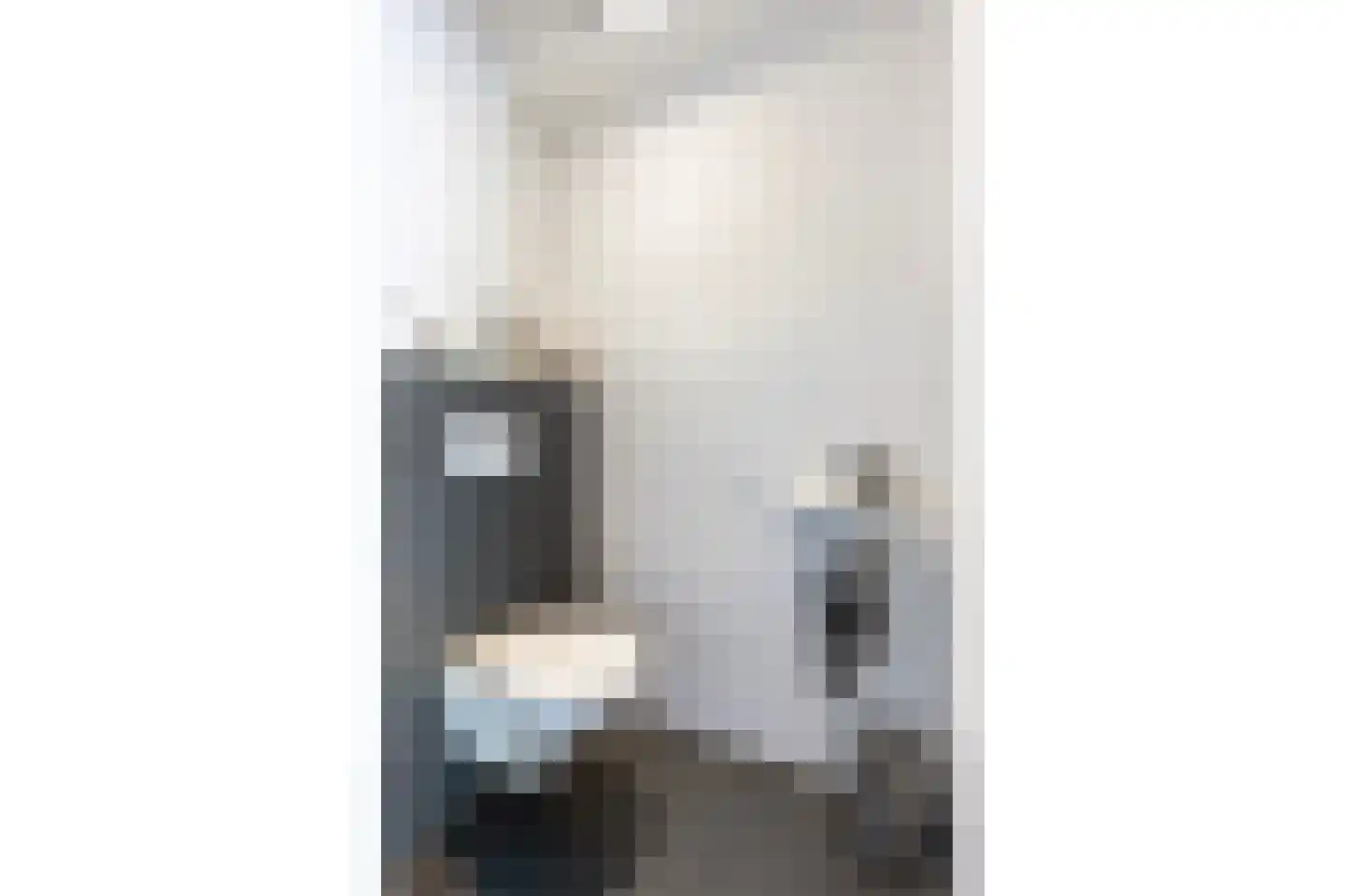 Hamerbijl 12 Dalfsen thumbnail 7