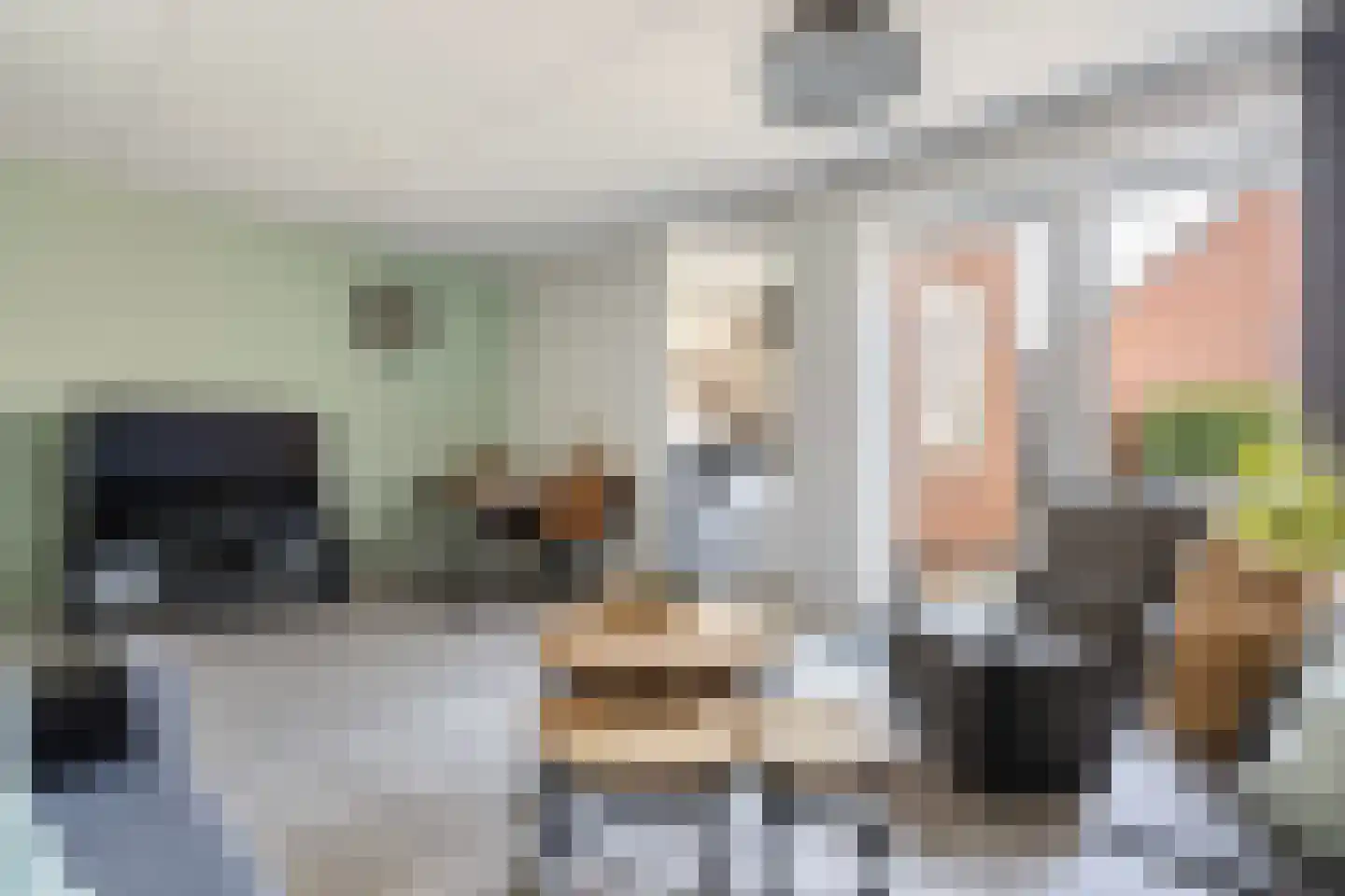 Hamerbijl 12 Dalfsen thumbnail 9