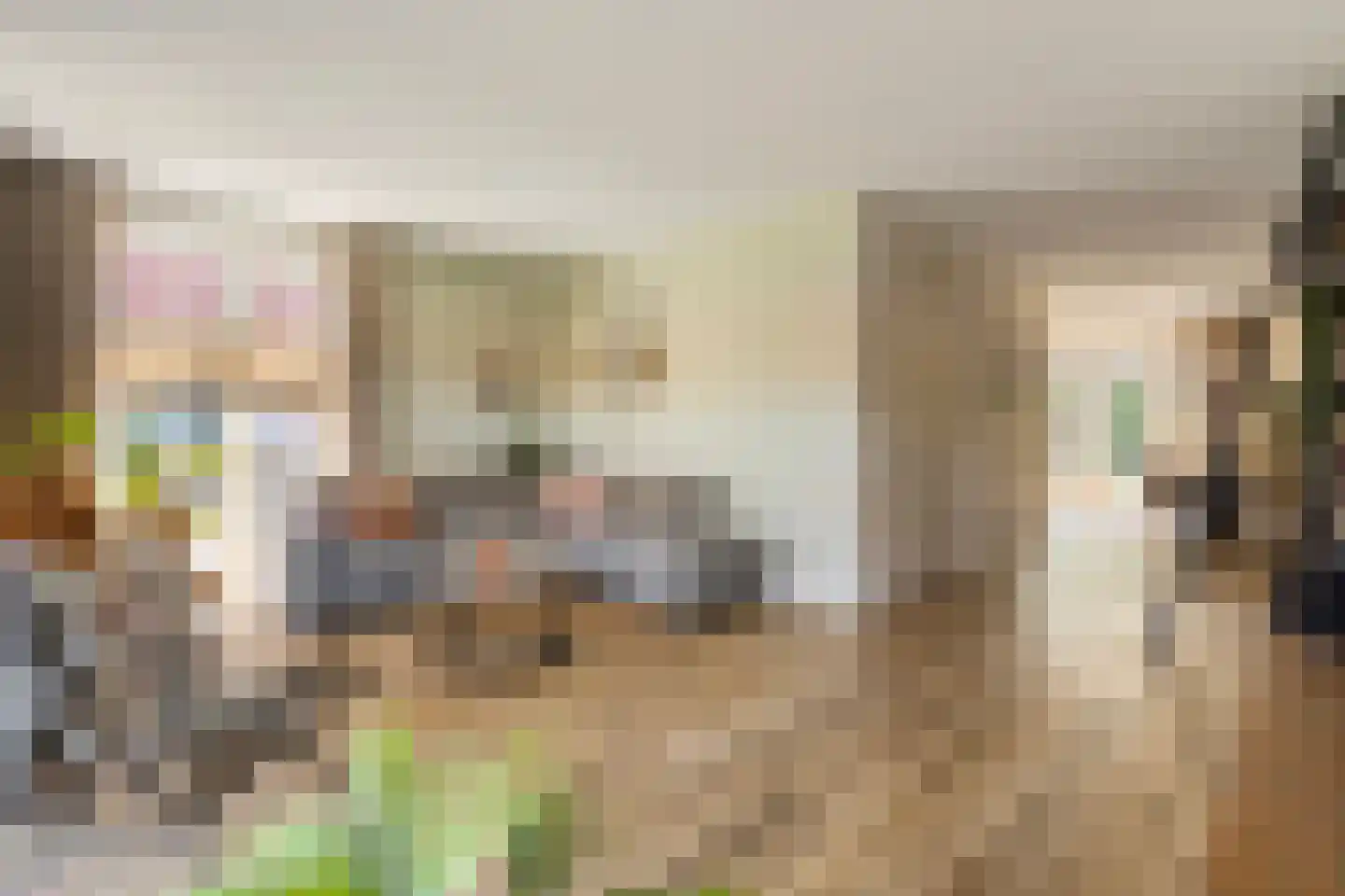 Hamerbijl 4 Dalfsen thumbnail 15