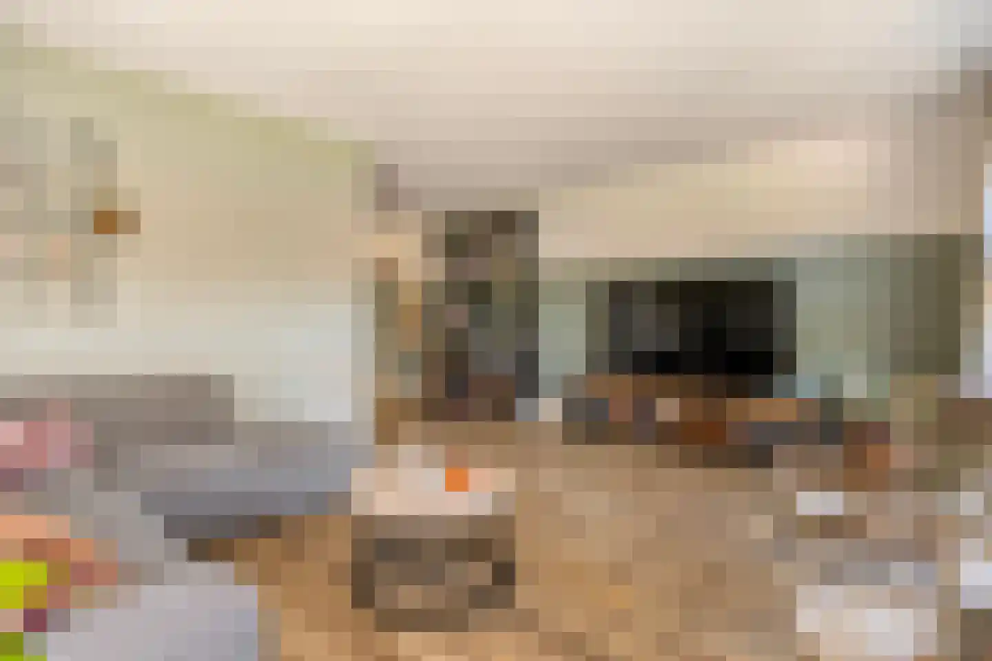 Hamerbijl 4 Dalfsen thumbnail 17