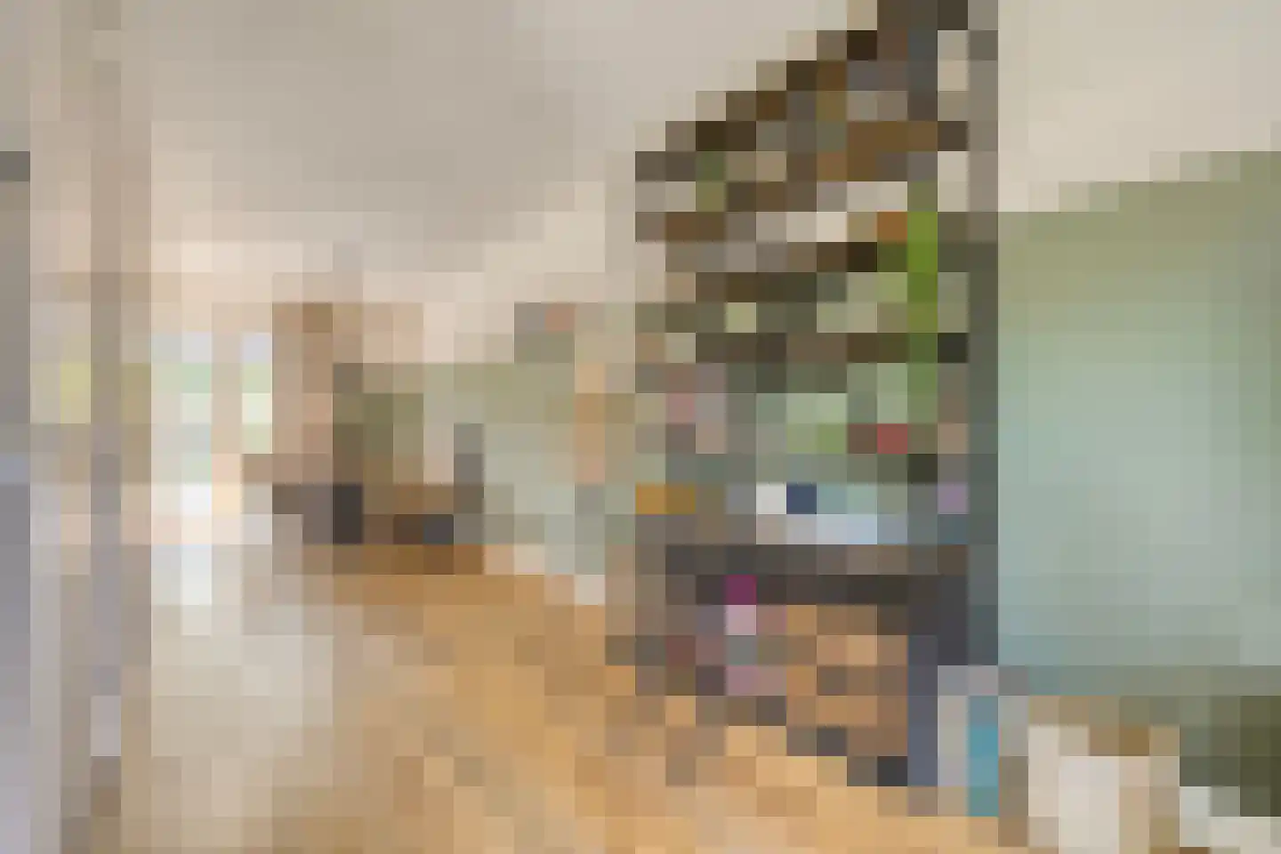 Hamerbijl 4 Dalfsen thumbnail 18