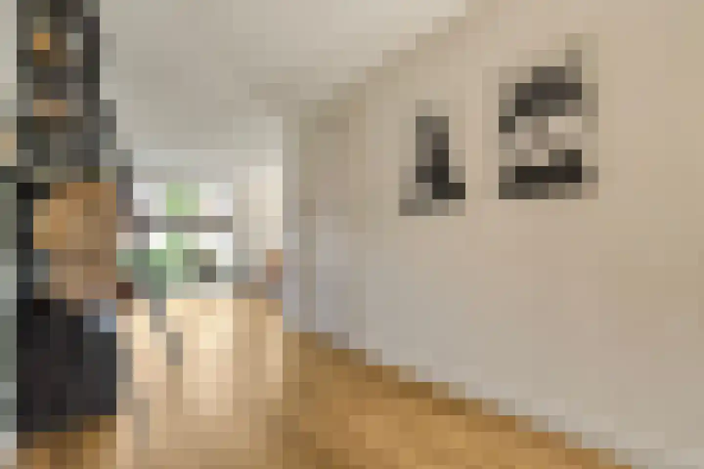 Hamerbijl 4 Dalfsen thumbnail 19