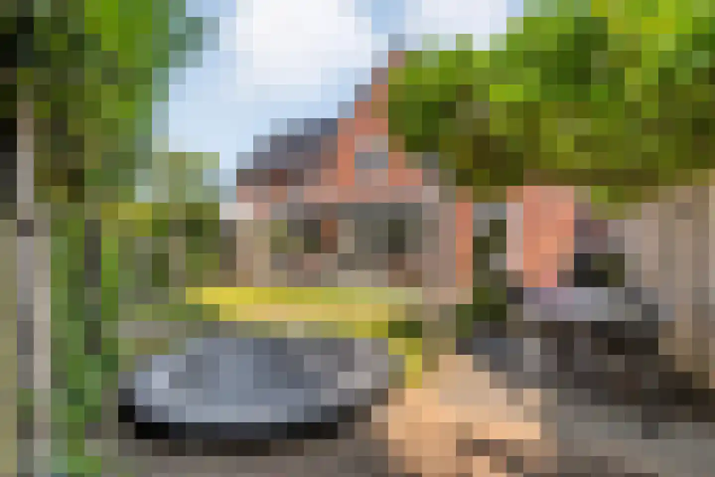 Hamerbijl 4 Dalfsen foto 2