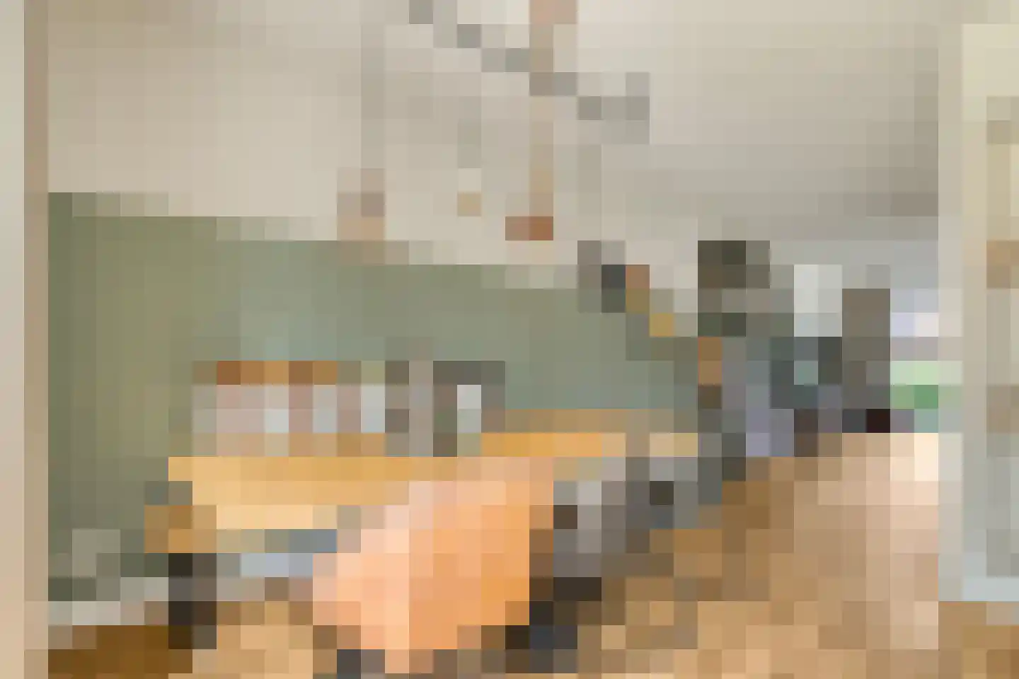 Hamerbijl 4 Dalfsen thumbnail 21