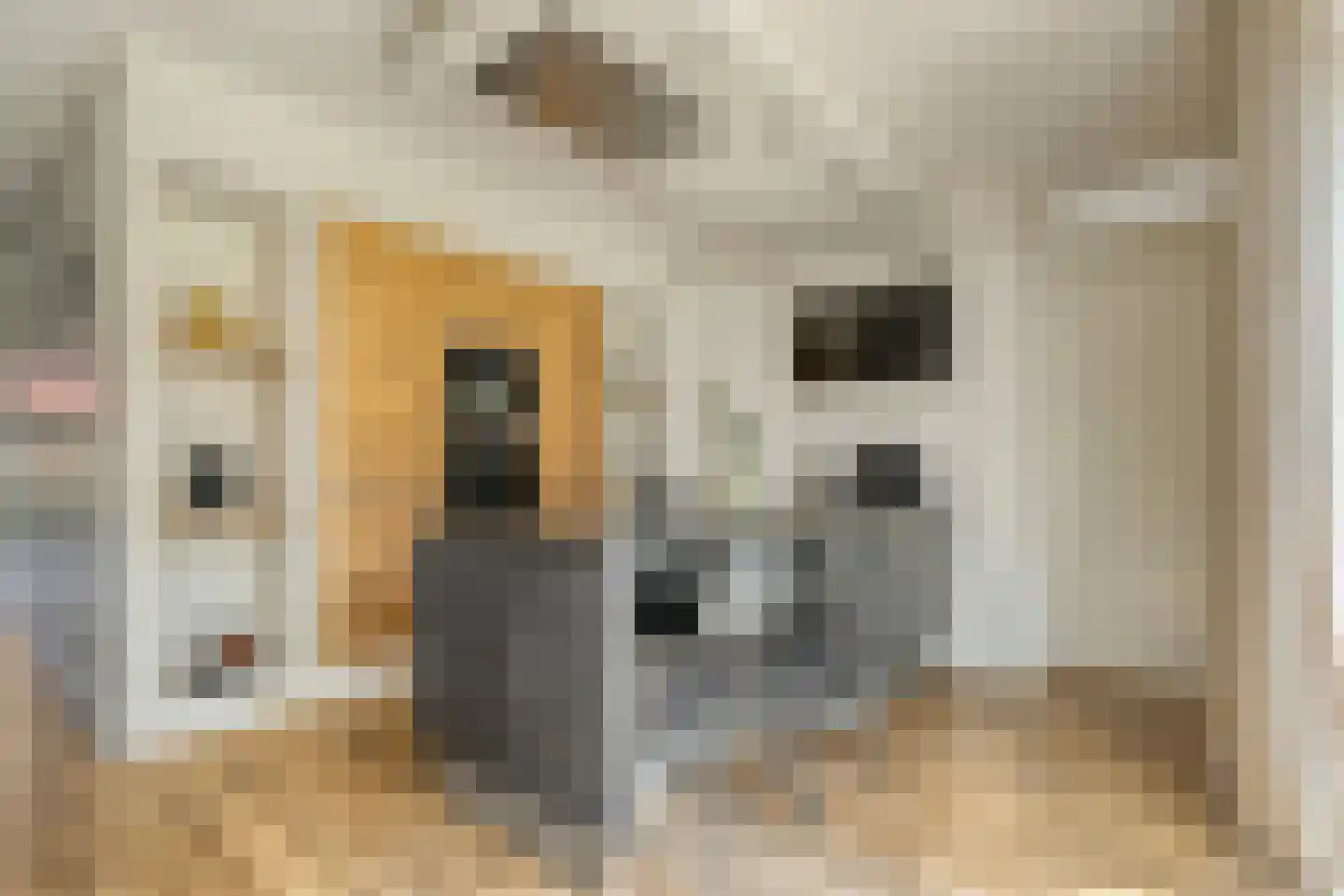 Hamerbijl 4 Dalfsen thumbnail 22