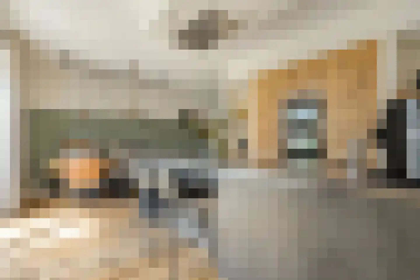 Hamerbijl 4 Dalfsen thumbnail 23