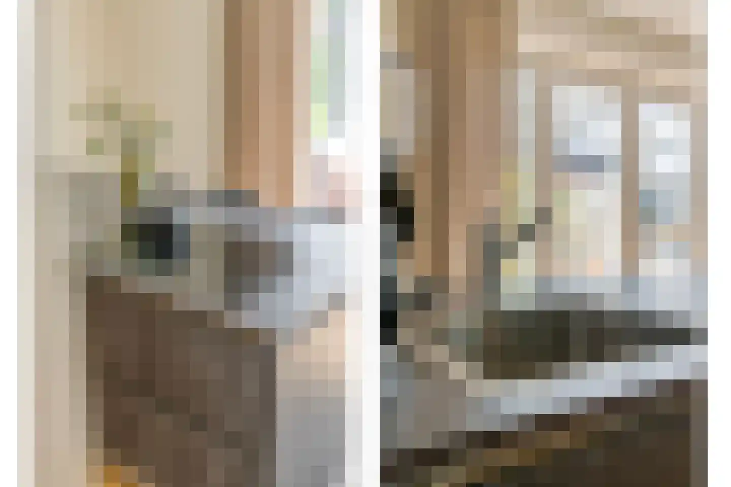 Hamerbijl 4 Dalfsen thumbnail 25
