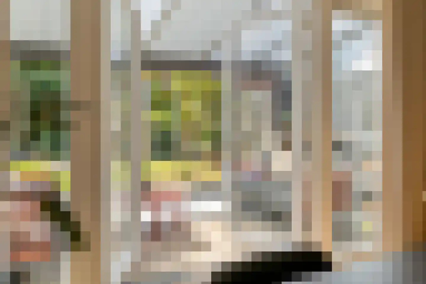 Hamerbijl 4 Dalfsen thumbnail 26