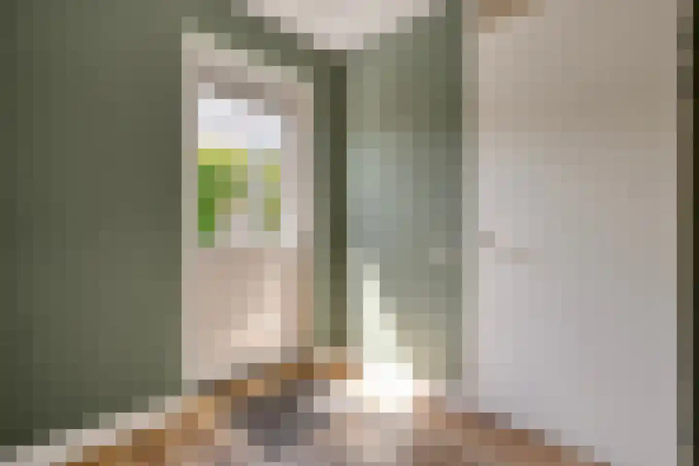 Hamerbijl 4 Dalfsen thumbnail 28