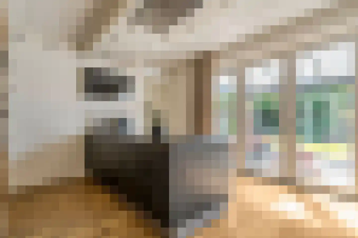 Hamerbijl 4 Dalfsen foto 3