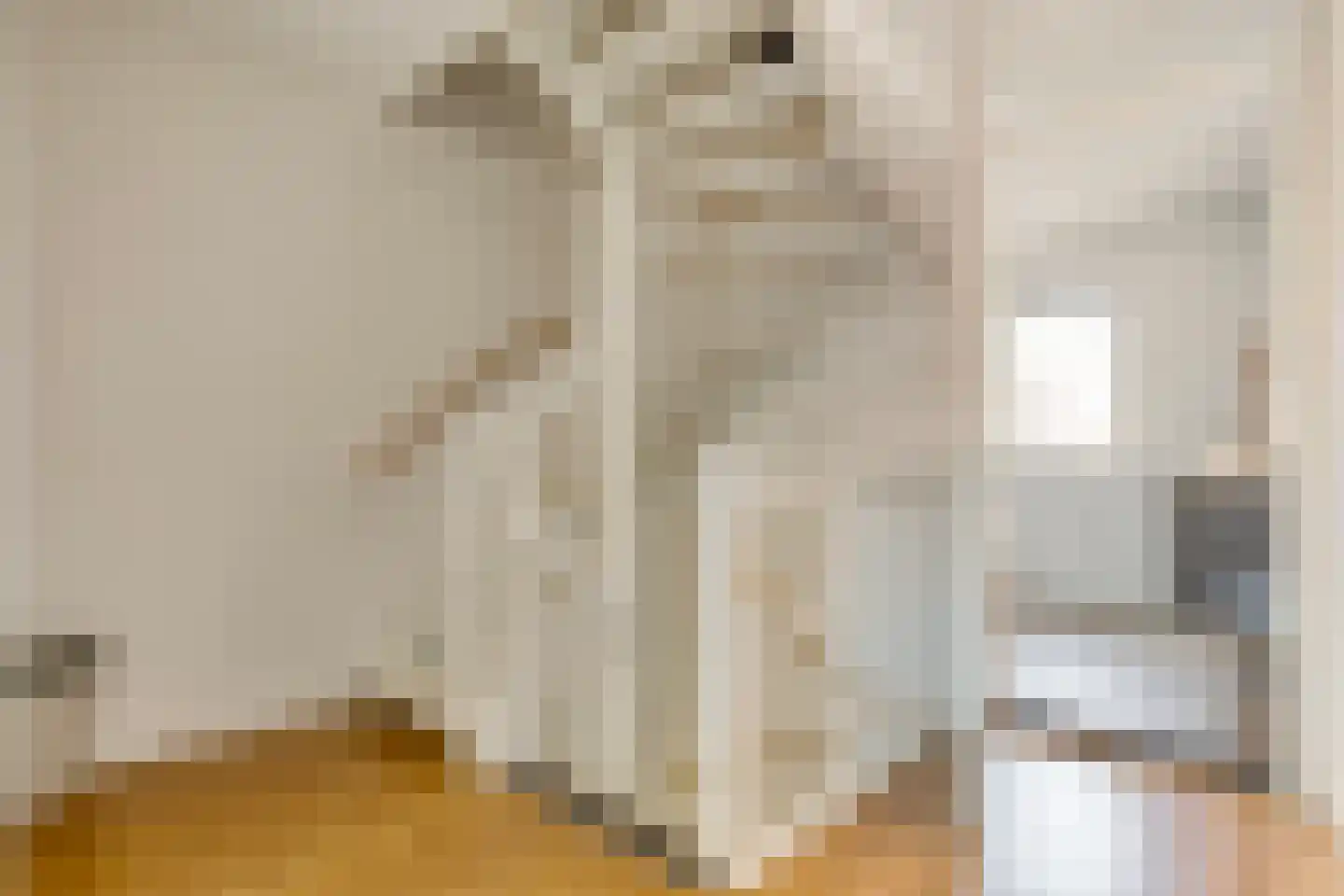 Hamerbijl 4 Dalfsen thumbnail 31
